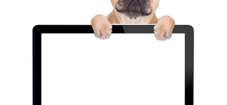 Hond meenemen naar het werk is een arbeidsvoorwaarde geworden